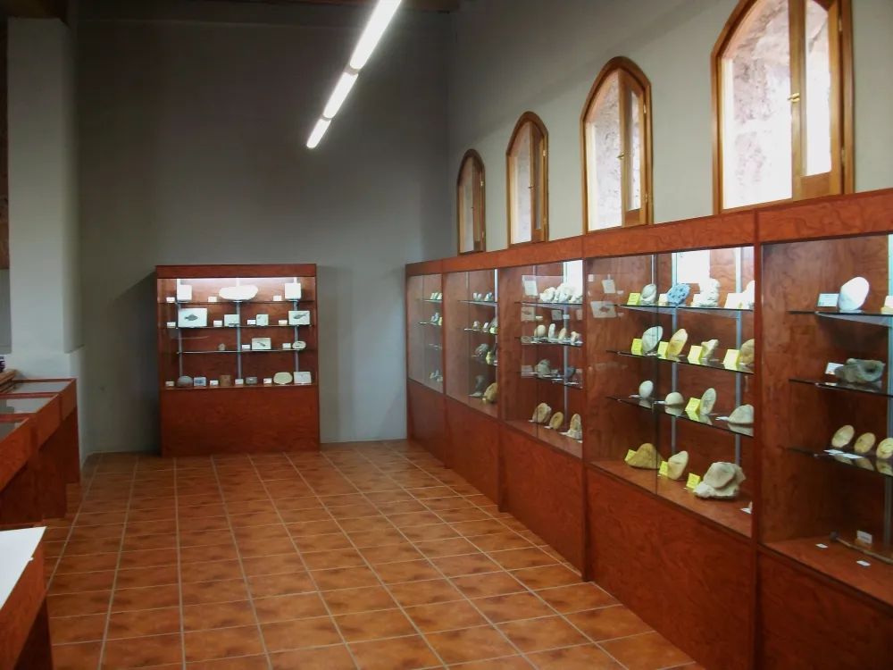 Vitrinas con piezas minerales y fósiles clasificados en la colección museográfica del Molí de la Reixa