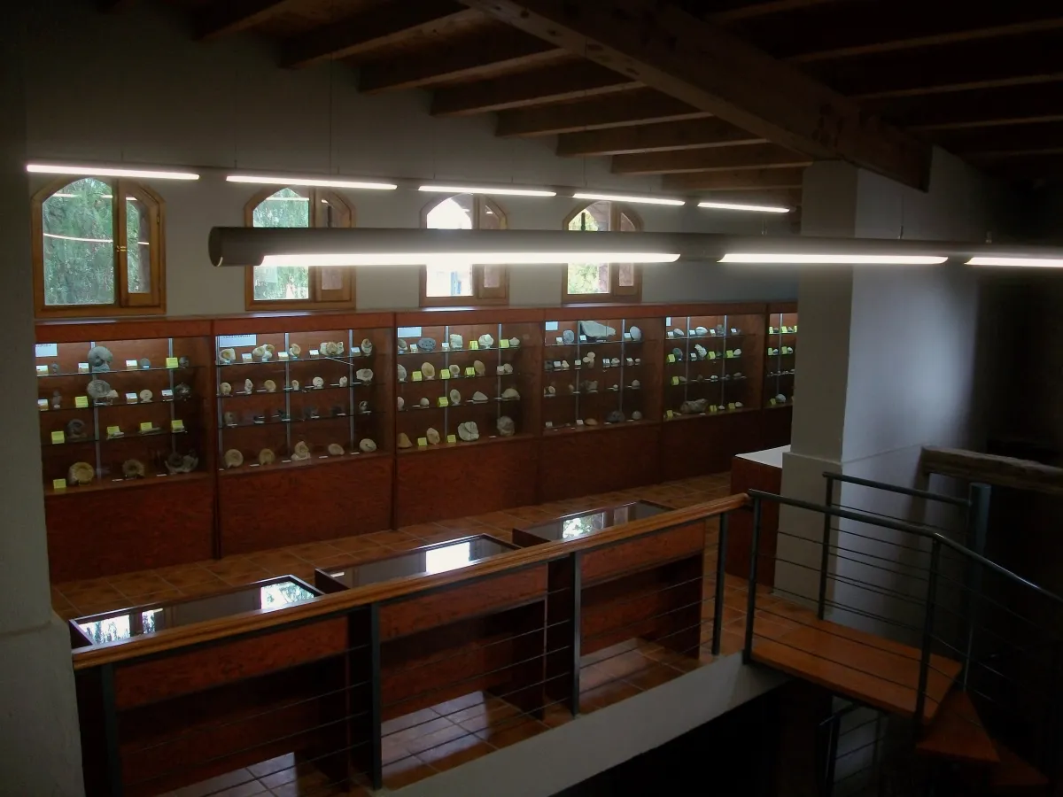 Interior del Molí de la Reixa con vitrinas de la colección de paleontología y mineralogía, con piezas clasificadas y paneles explicativos