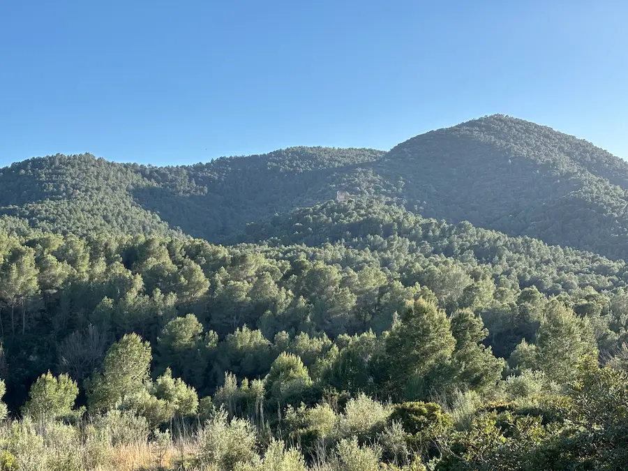 Vista desde la ladera del Montí sobre la llanura de la Plana Baixa