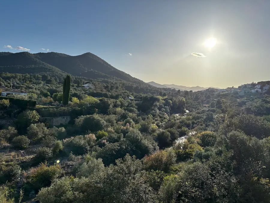 Sendero entre alcornoques y matorral mediterráneo en el Montí
