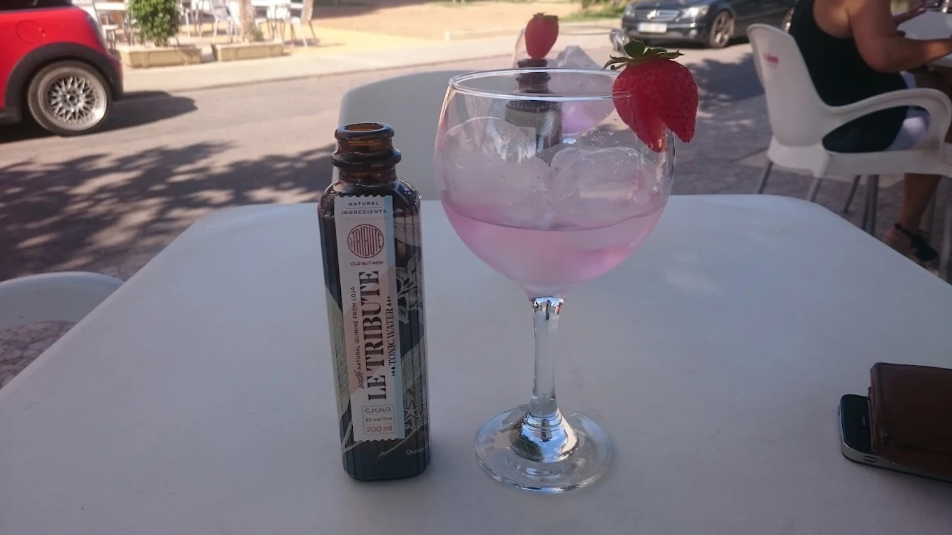 Gin-tonic rosa con fresa y tónica Le Tribute en la terraza