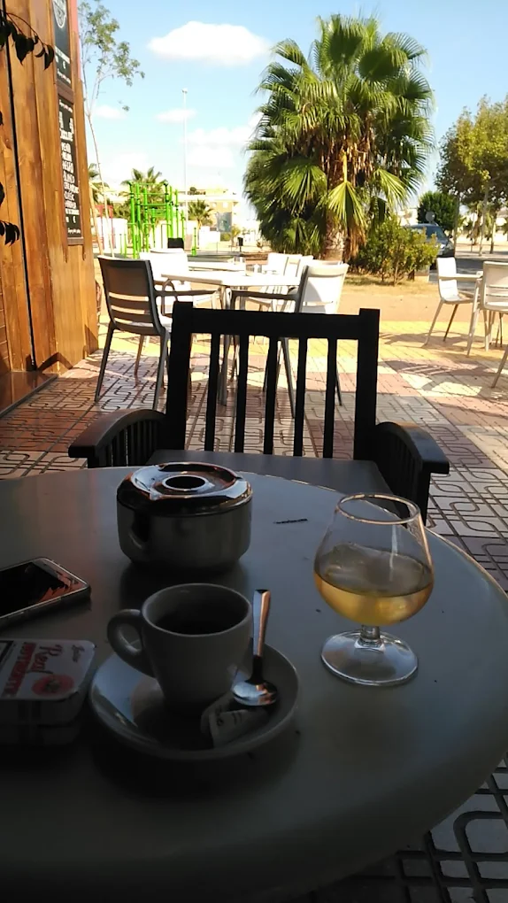 Terraza del Café Colonial con palmera, café y copa