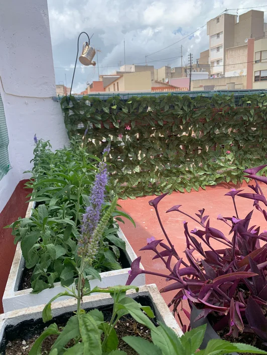 Terraza de Casa Almudí con jardín y plantas, Onda