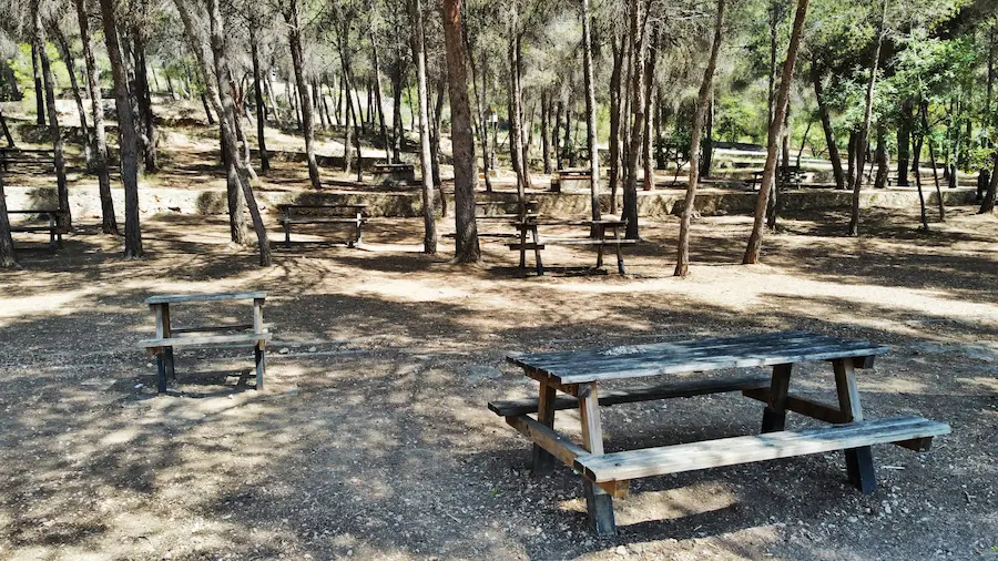 Pinar y zona recreativa del Ermitorio del Santísimo Salvador de Onda con mesas bajo los pinos
