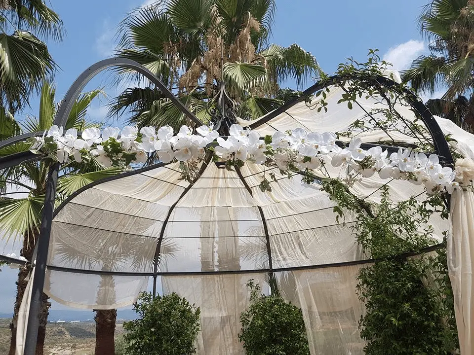 Plantas y flores frescas en Floristería Crisel Onda