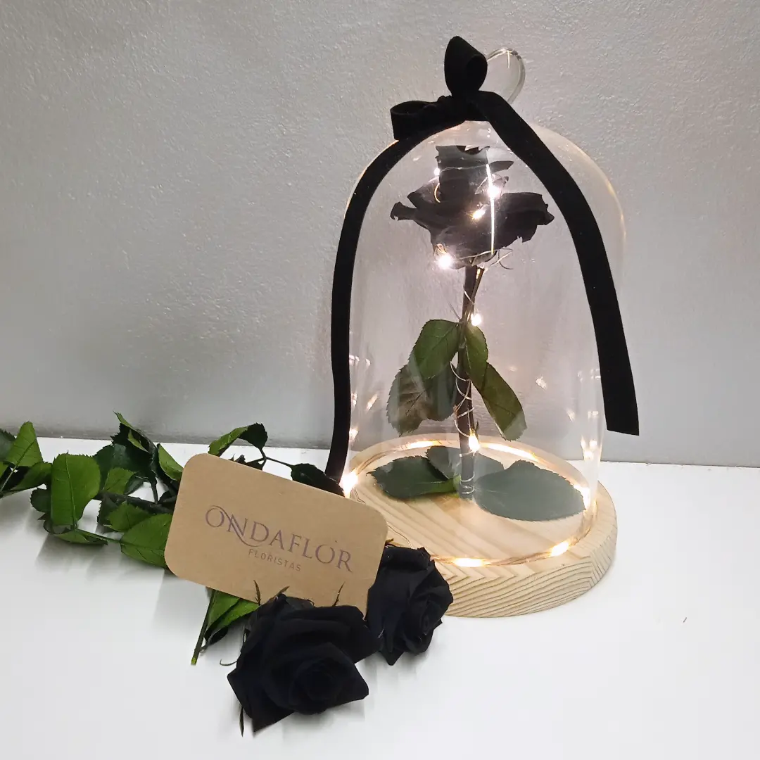 Rosa preservada negra bajo cúpula de cristal con luces, de Ondaflor