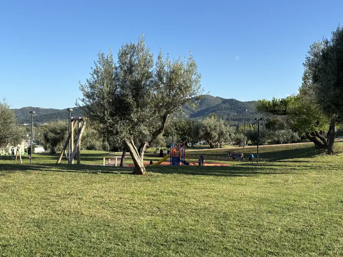 Senderos y árboles del Parque de la Cerámica con el Montí al fondo