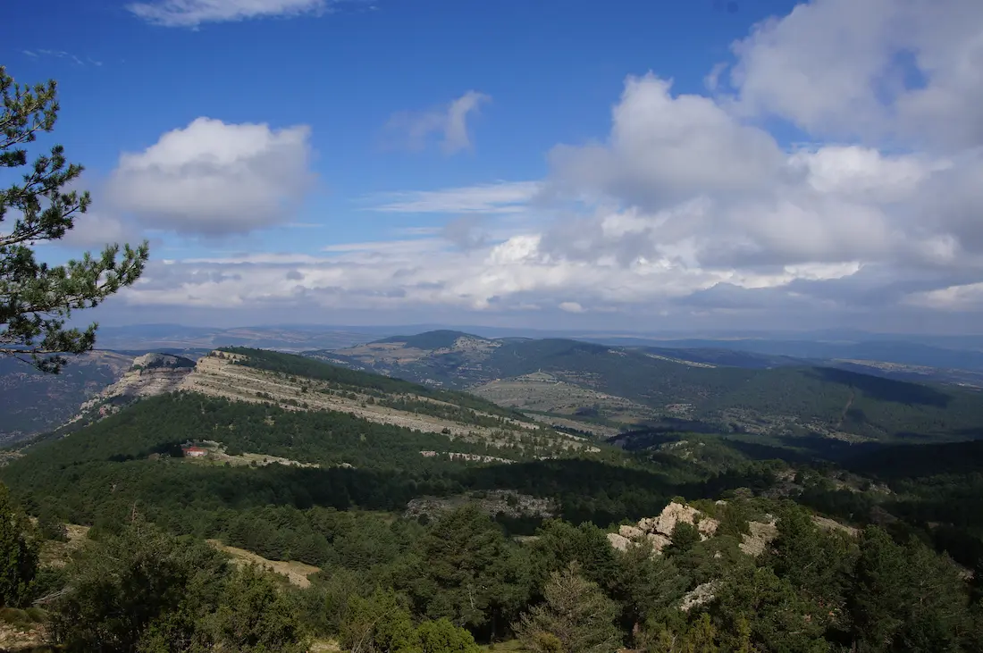 Camino de senderismo hacia la cima del Penyagolosa entre pinos y vegetación de montaña
